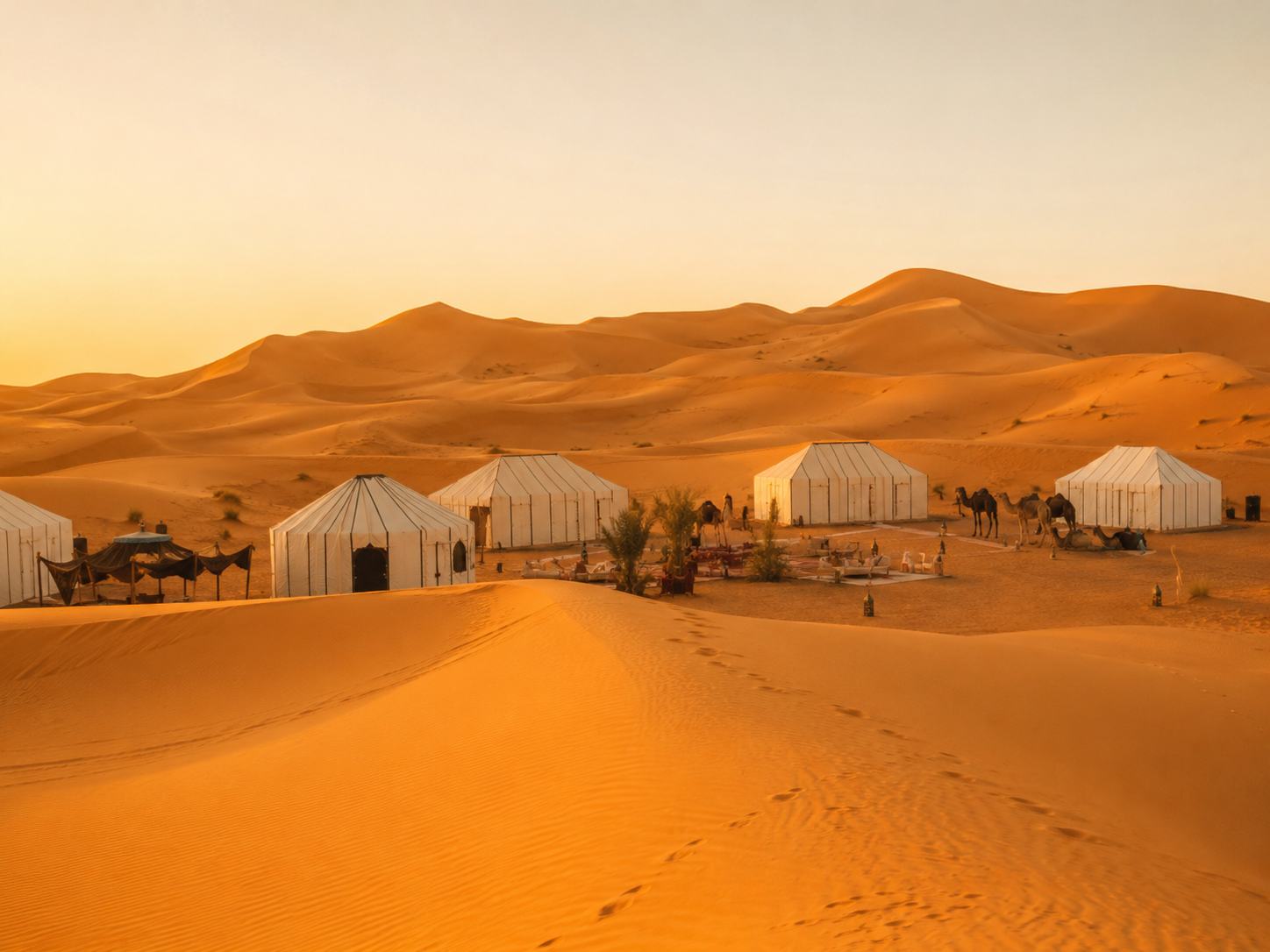 Dünen der Sahara